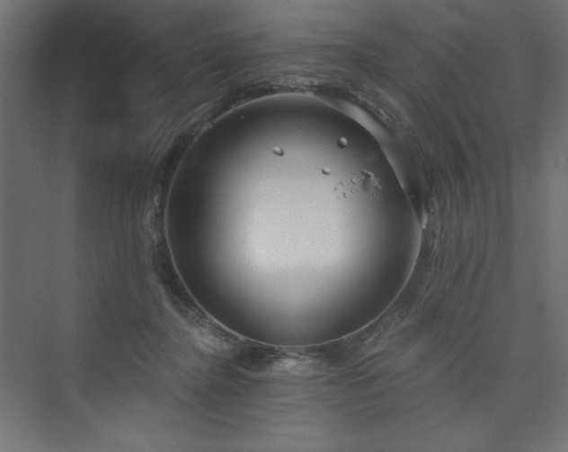 X0000073990364200608211354