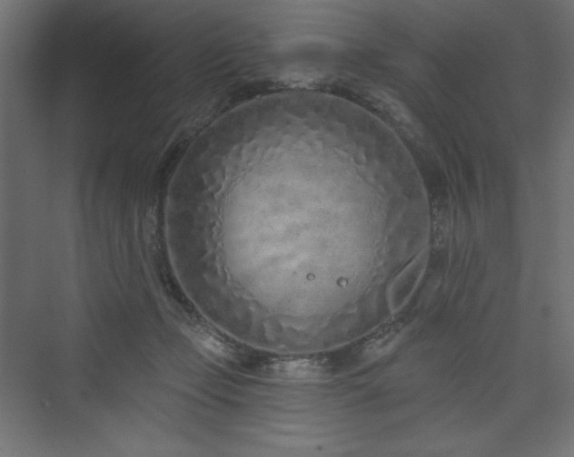 X0000073990365200608211354