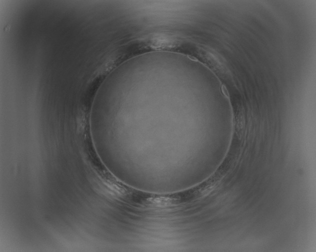 X0000073990367200608211354