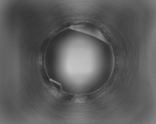 X0000073990368200608211354