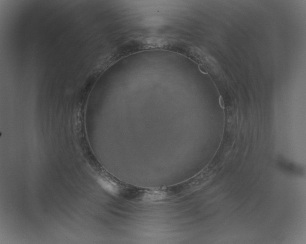 X0000073990369200608211354