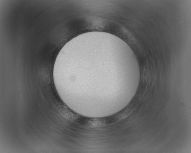 X0000073990370200608211354