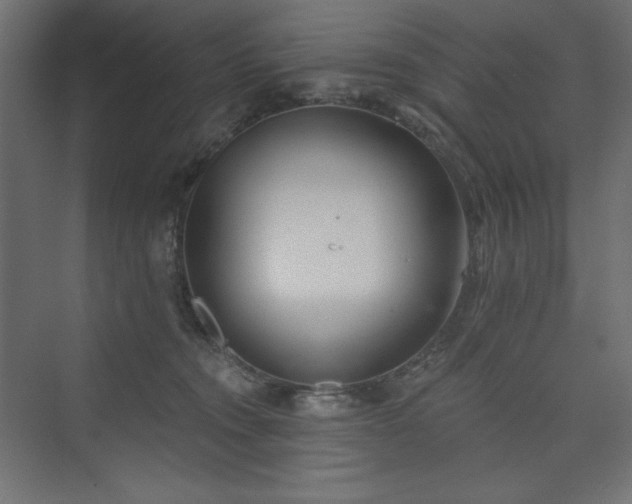 X0000073990372200608211354