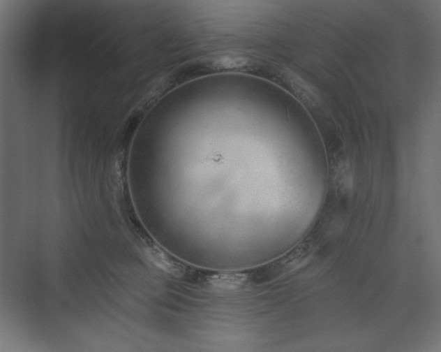 X0000073990373200608211354