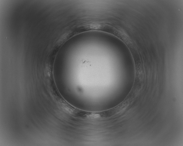 X0000073990374200608211354