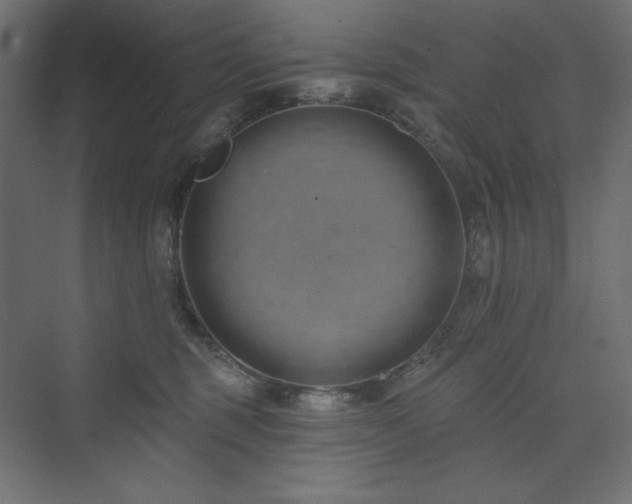 X0000073990375200608211354