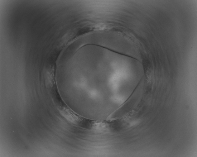 X0000073990376200608211354