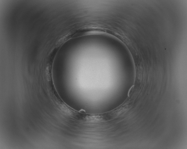 X0000073990378200608211354