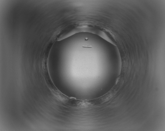 X0000073990379200608211354