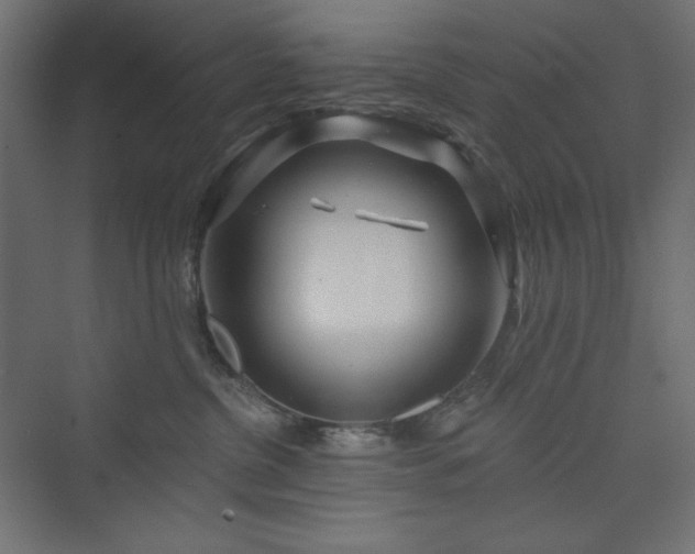 X0000073990380200608211354