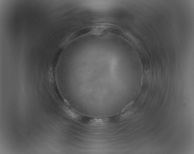 X0000073990381200608211354