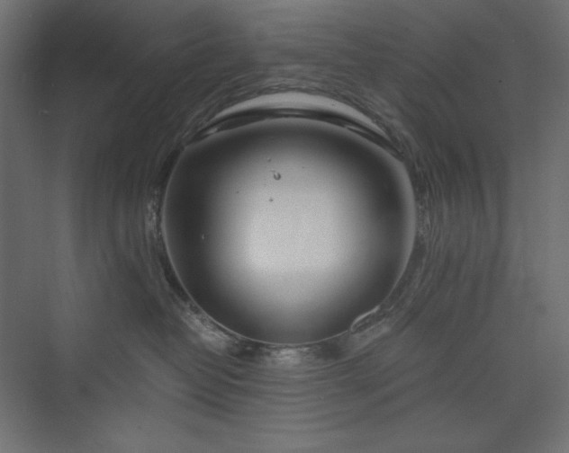 X0000073990382200608211354