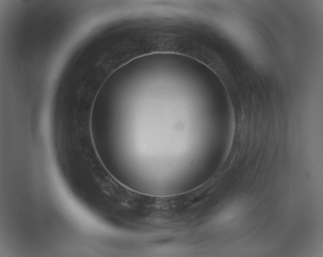 X0000073990383200608211354