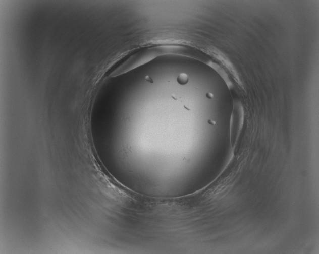 X0000073990385200608211353