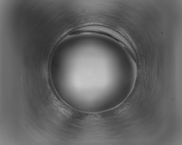 X0000073990386200608211353