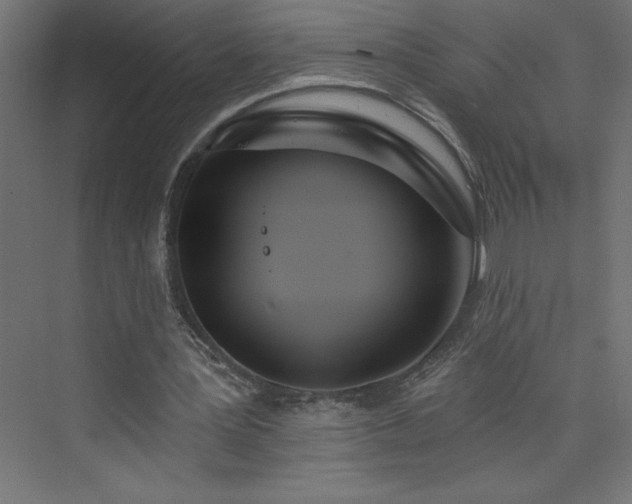 X0000073990387200608211353