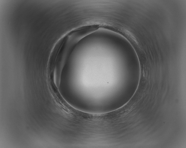 X0000073990388200608211353