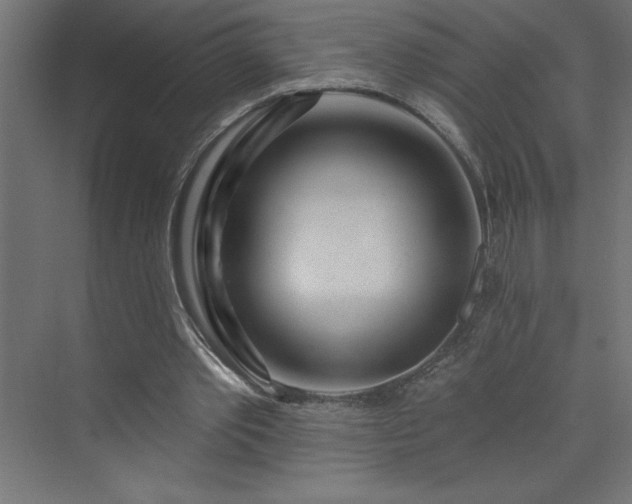 X0000073990389200608211353