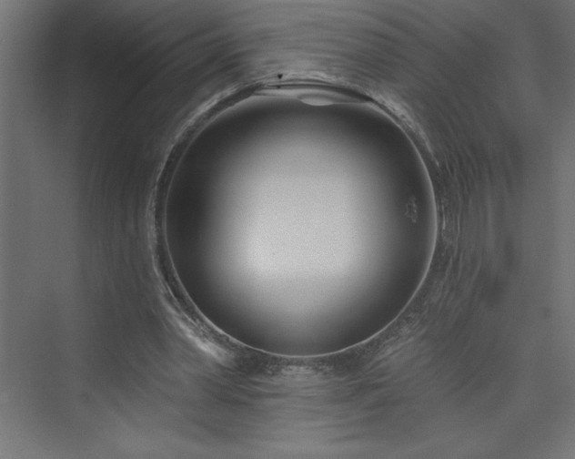 X0000073990390200608211353