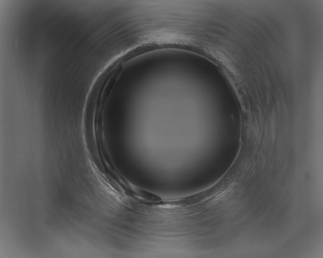 X0000073990391200608211353