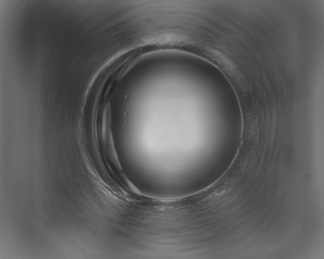 X0000073990392200608211353