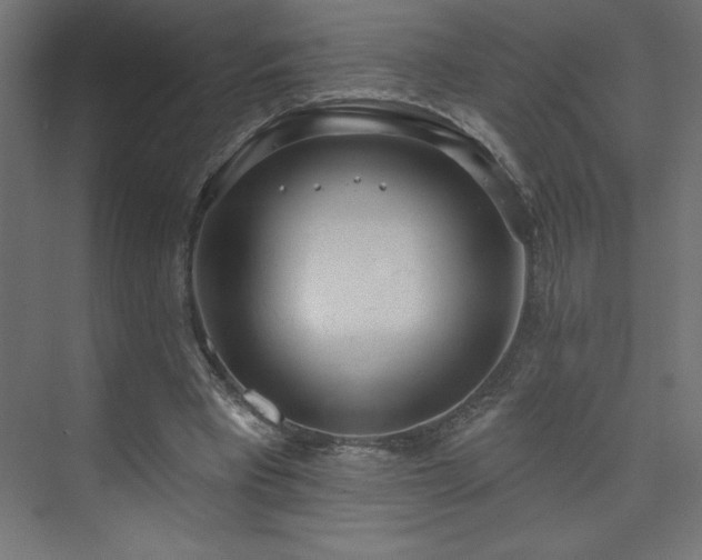 X0000073990393200608211353