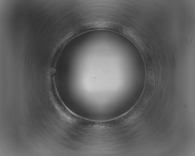 X0000073990394200608211353