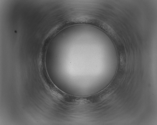 X0000073990396200608211353