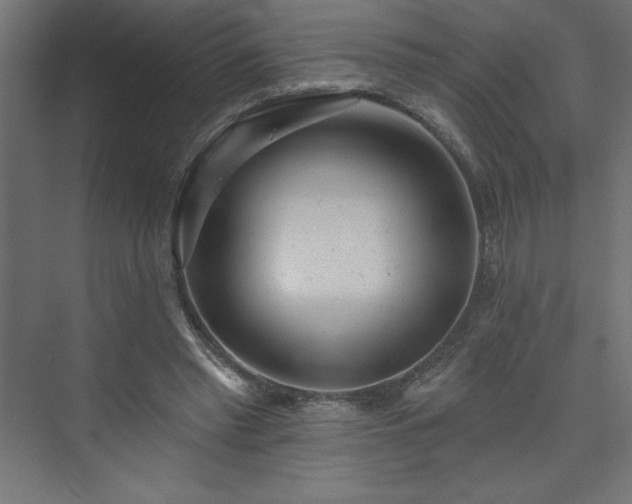 X0000073990397200608211353