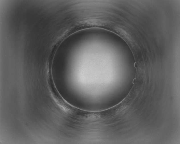 X0000073990398200608211353