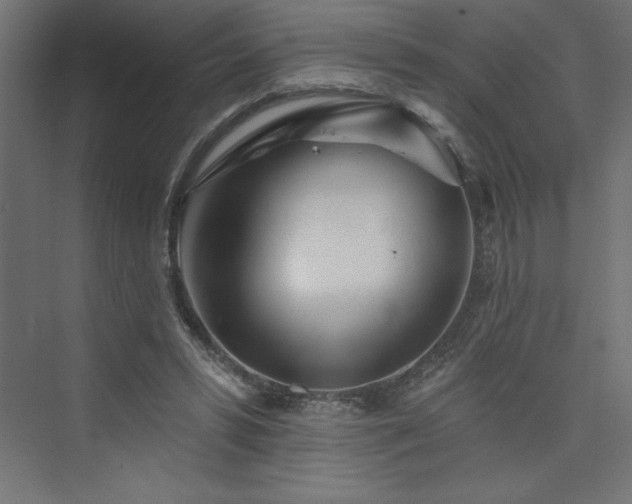 X0000073990399200608211353