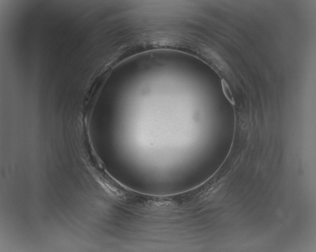 X0000073990401200608211353