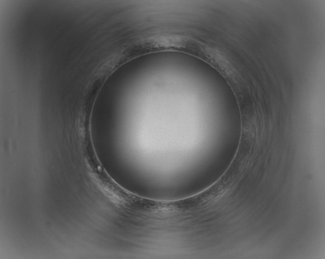 X0000073990402200608211353