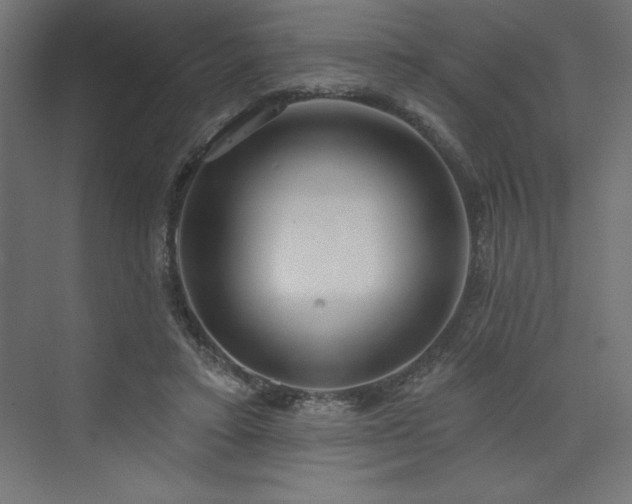 X0000073990403200608211353