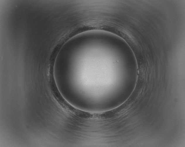 X0000073990404200608211353