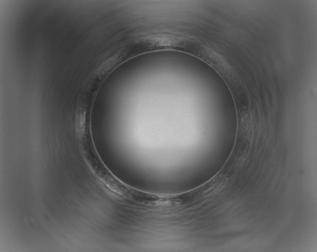 X0000073990406200608211353