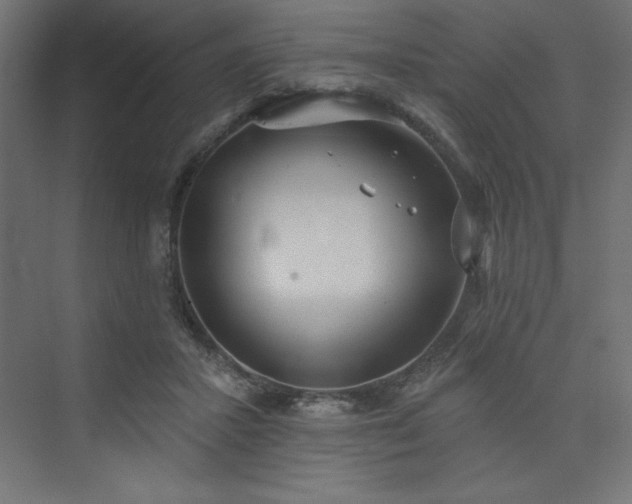 X0000073990407200608211353