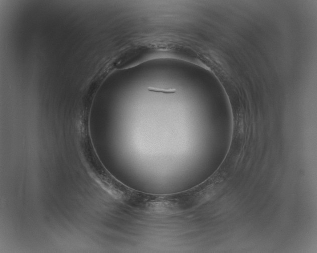 X0000073990408200608211353