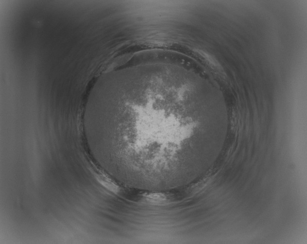 X0000073990409200608211353