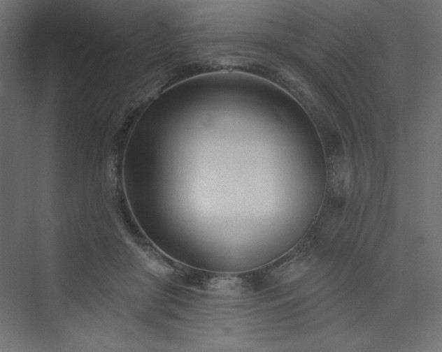 X0000073990410200608211353