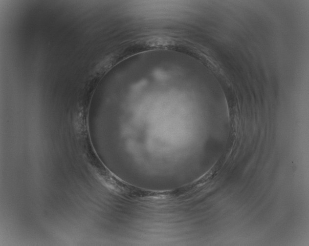 X0000073990411200608211353