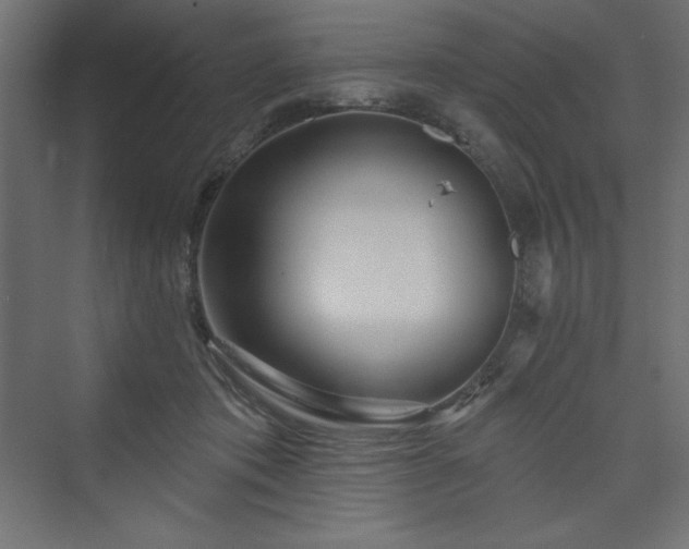 X0000073990413200608211353