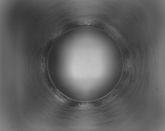 X0000073990414200608211353