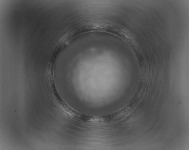 X0000073990415200608211353