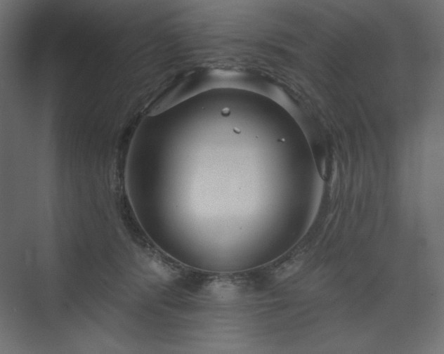 X0000073990416200608211353