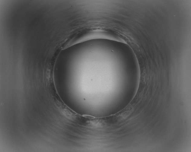 X0000073990417200608211353