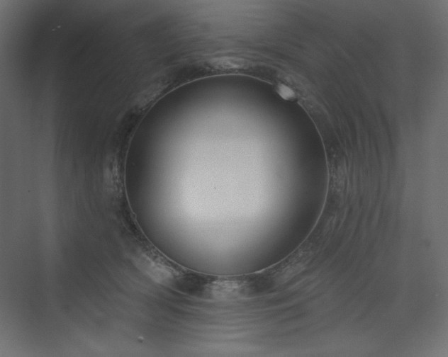 X0000073990418200608211353