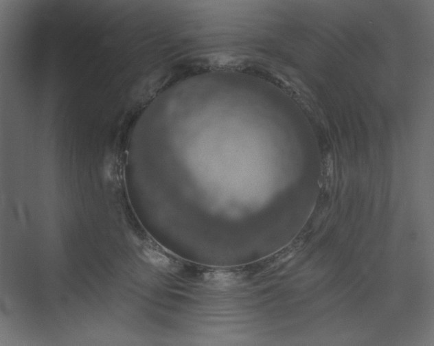 X0000073990419200608211353