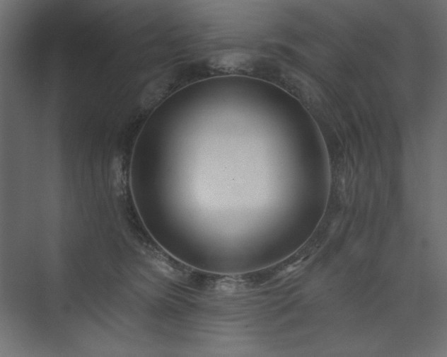 X0000073990420200608211353