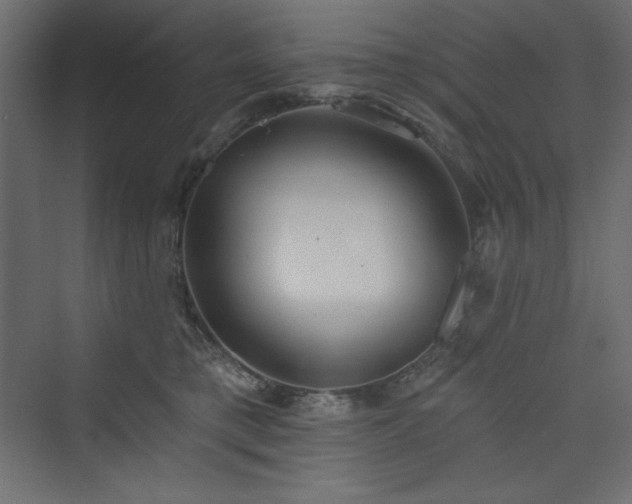 X0000073990421200608211353